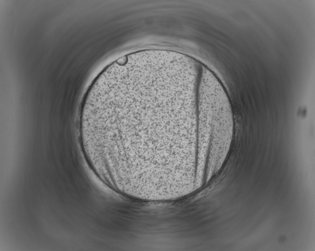 X0000096731531200803041212