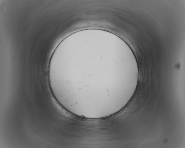 X0000096731532200803041212