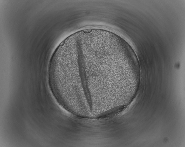 X0000096731533200803041212