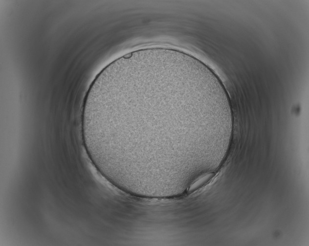 X0000096731534200803041212