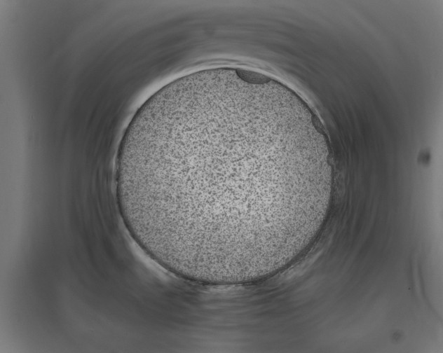 X0000096731535200803041212