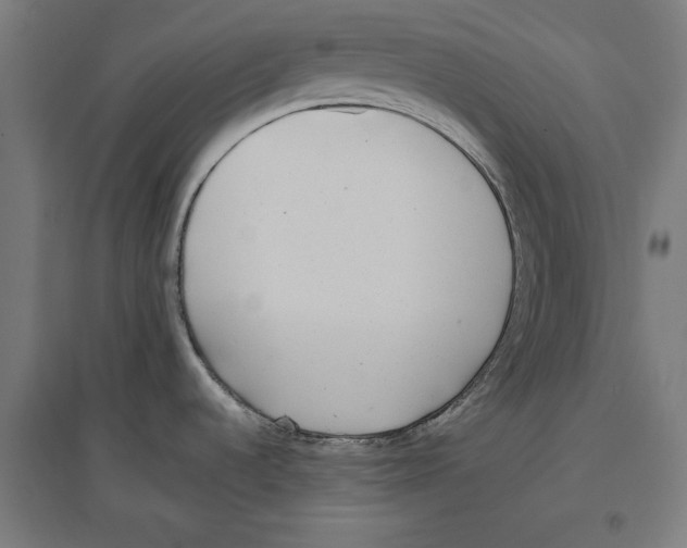 X0000096731536200803041212
