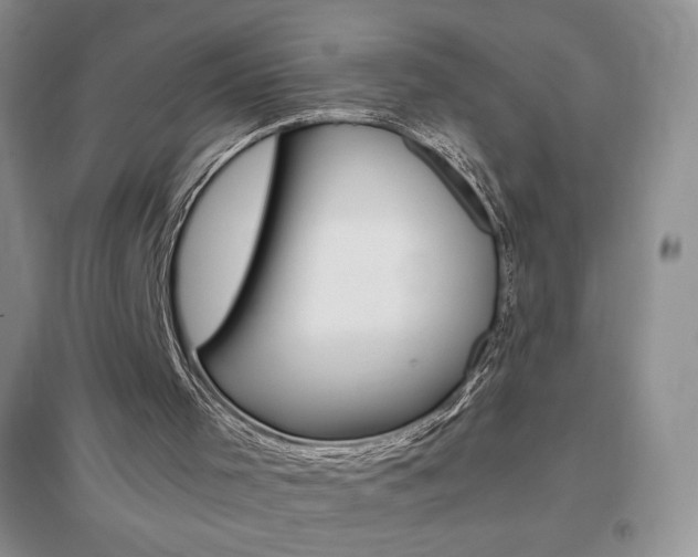 X0000096940001200802080909