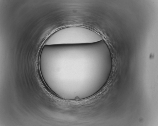 X0000096940002200802080909