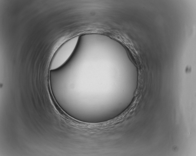 X0000096940003200802080909