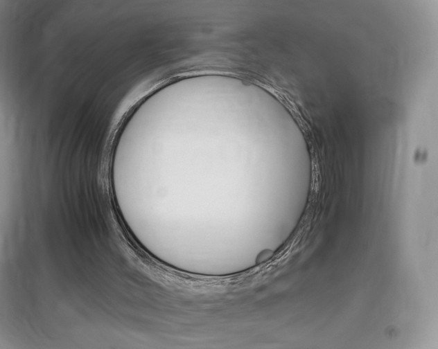 X0000096940004200802080909