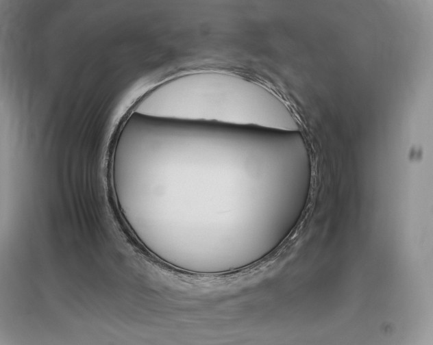 X0000096940006200802080909