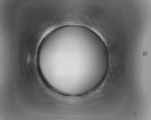 X0000096940008200802080909