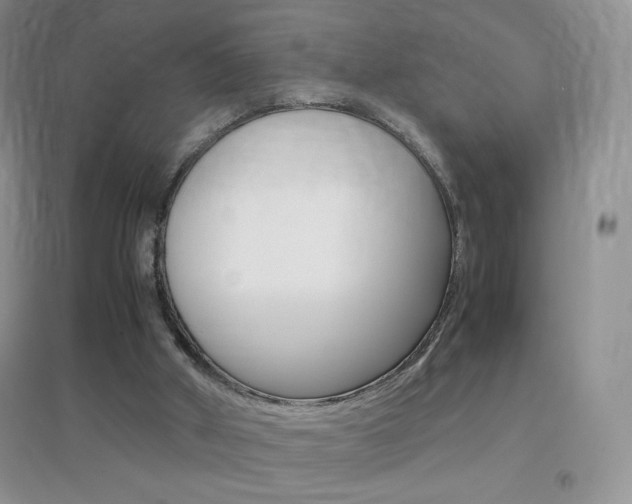 X0000096940010200802080909
