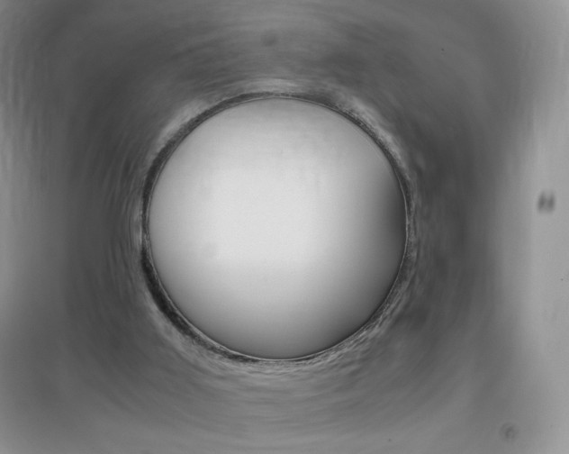 X0000096940011200802080909