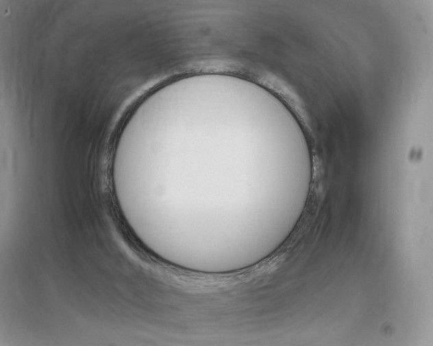 X0000096940012200802080909