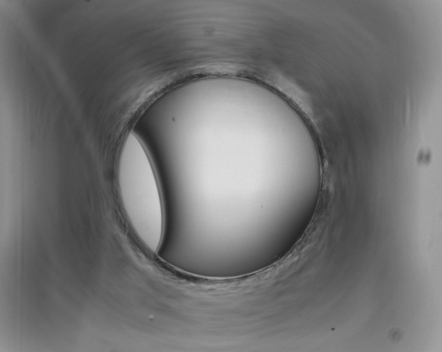 X0000096940013200802080909