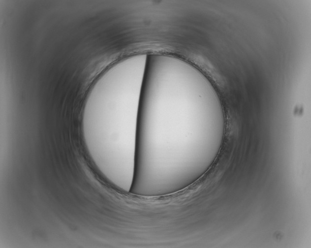 X0000096940014200802080909