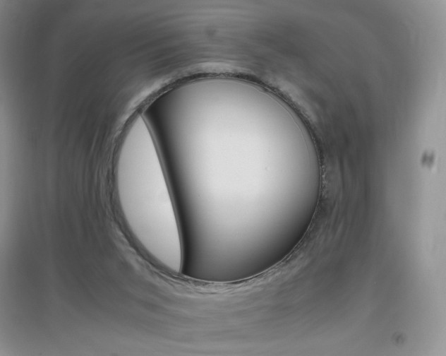 X0000096940015200802080909