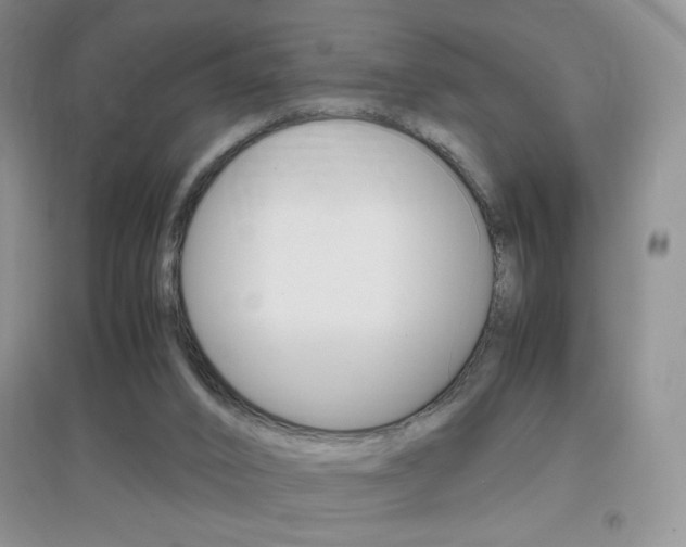 X0000096940016200802080909