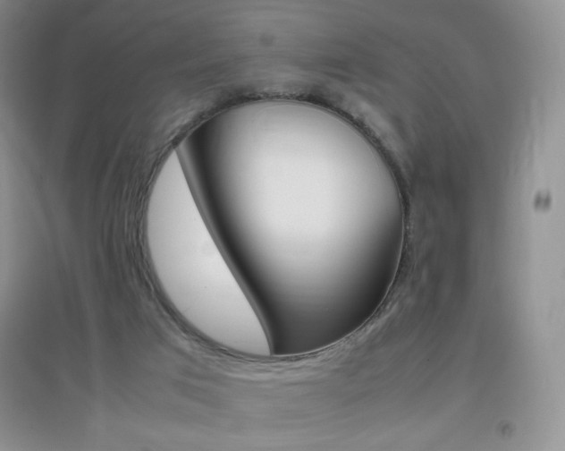 X0000096940017200802080909