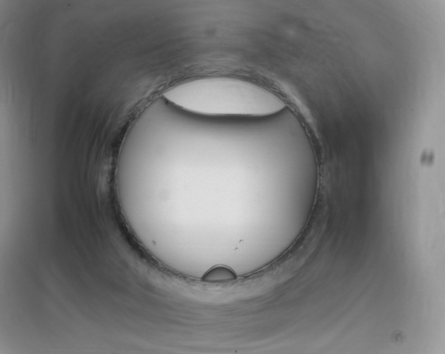 X0000096940018200802080909