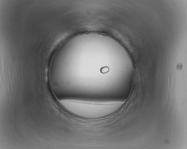 X0000096940019200802080909