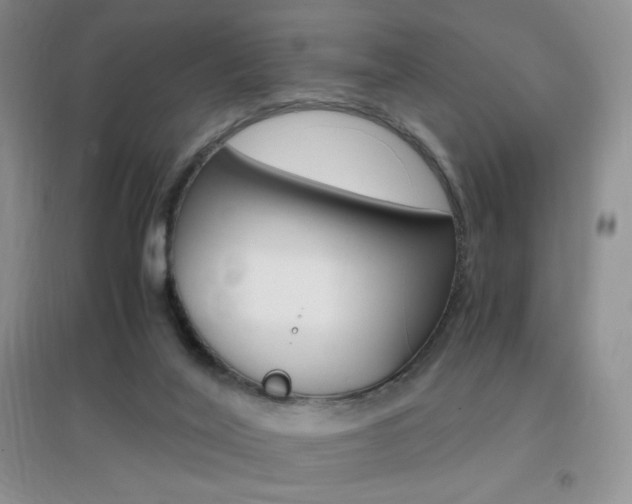 X0000096940020200802080909