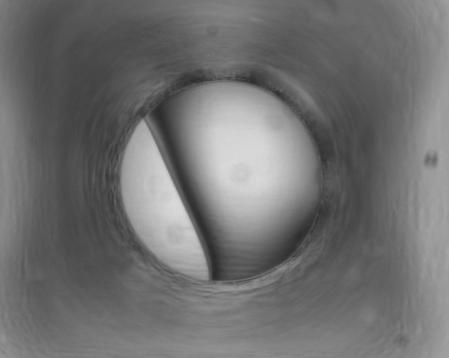 X0000096940025200802080908
