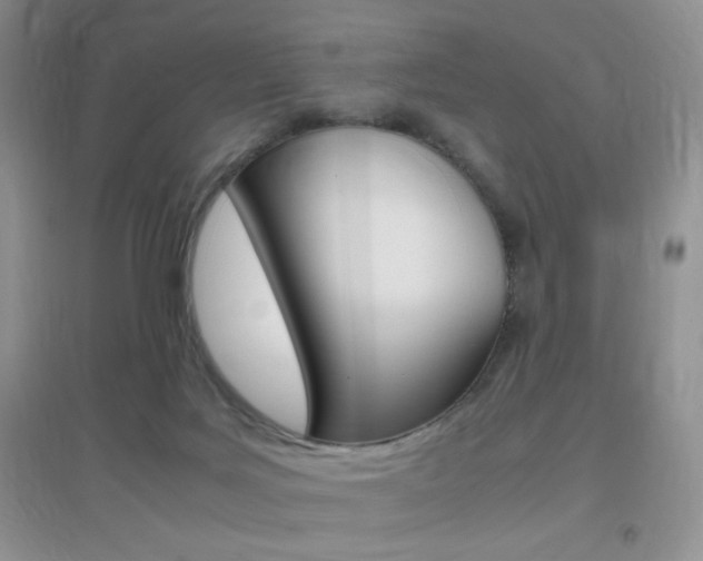 X0000096940027200802080908