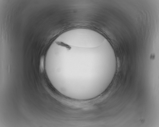 X0000096940028200802080908