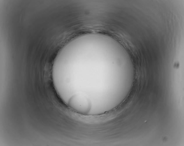 X0000096940030200802080908