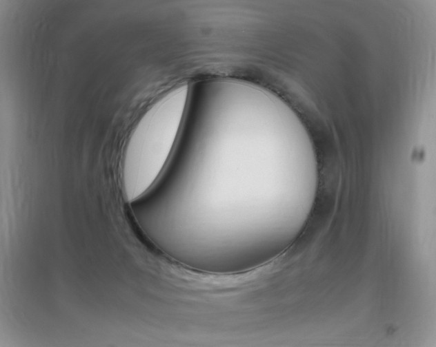 X0000096940031200802080908
