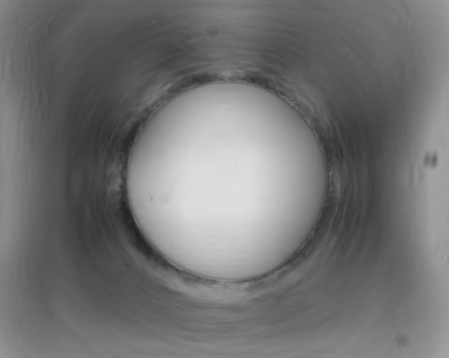 X0000096940032200802080908