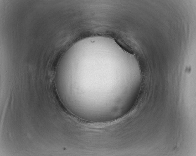 X0000096940033200802080908