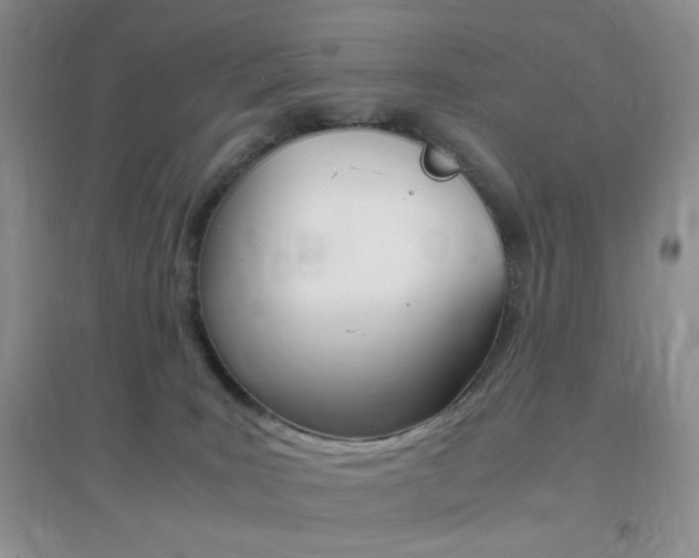 X0000096940035200802080908