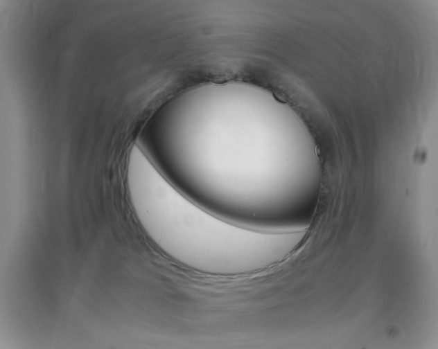 X0000096940037200802080908