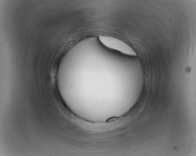 X0000096940038200802080908
