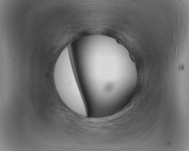 X0000096940041200802080908