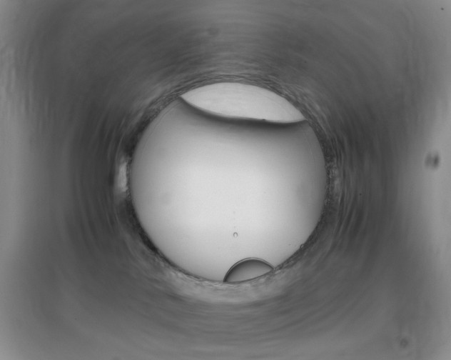 X0000096940042200802080908