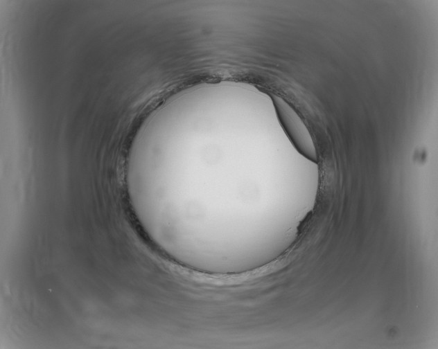 X0000096940043200802080908