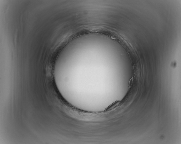 X0000096940044200802080908