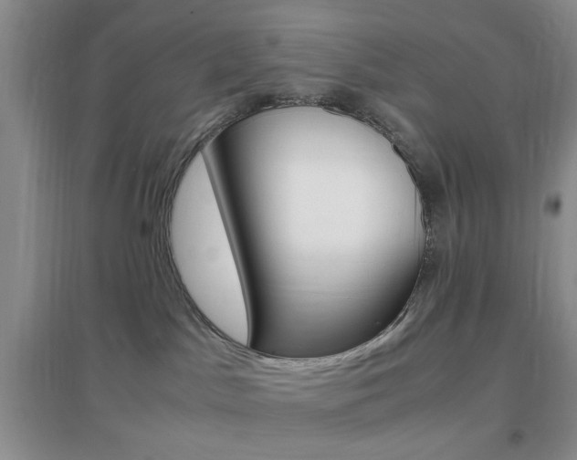 X0000096940045200802080908