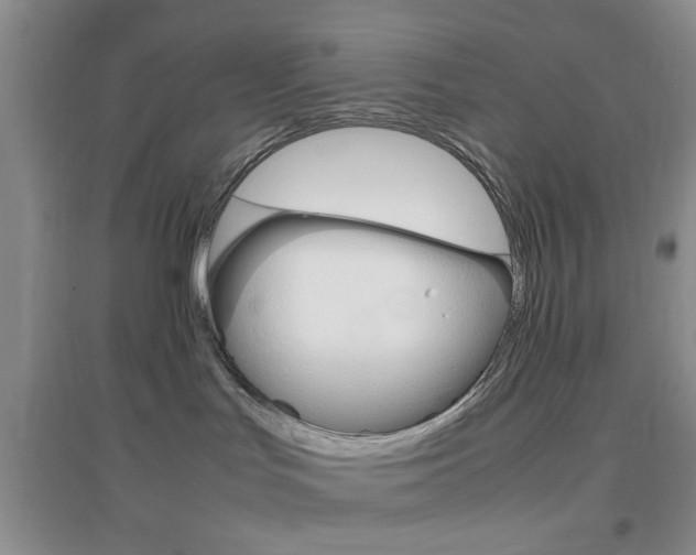X0000096940047200802080908