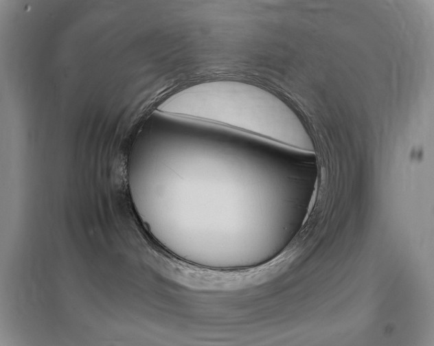 X0000096940048200802080908