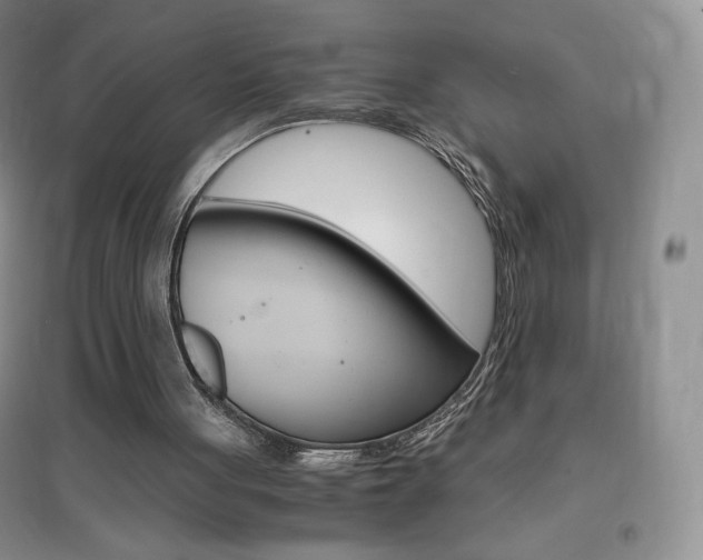 X0000096940051200802080907
