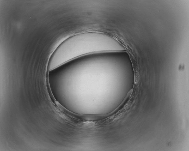 X0000096940052200802080907