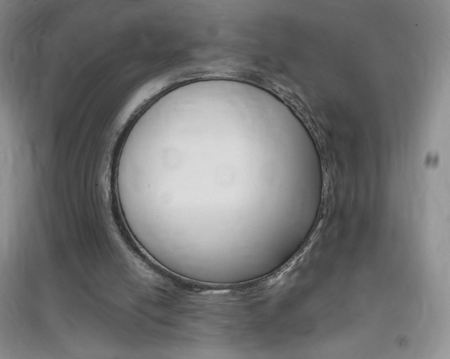 X0000096940054200802080907