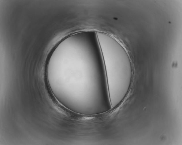 X0000096940055200802080907