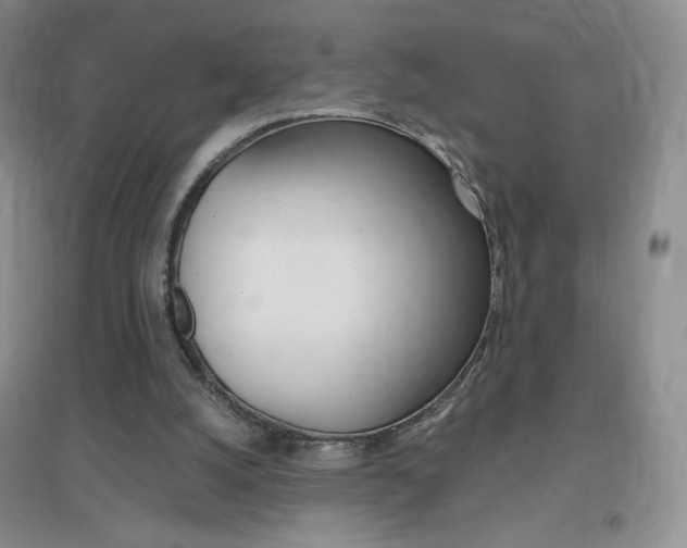 X0000096940056200802080907