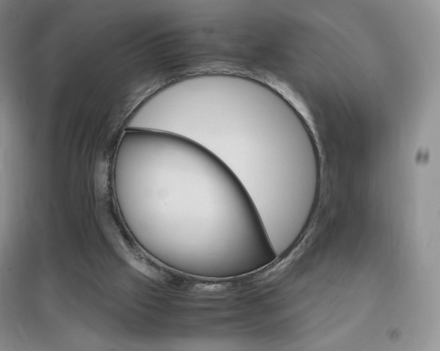 X0000096940057200802080907