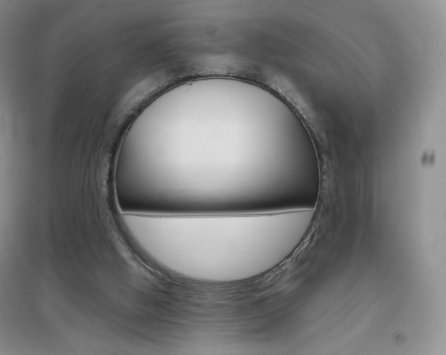 X0000096940058200802080907