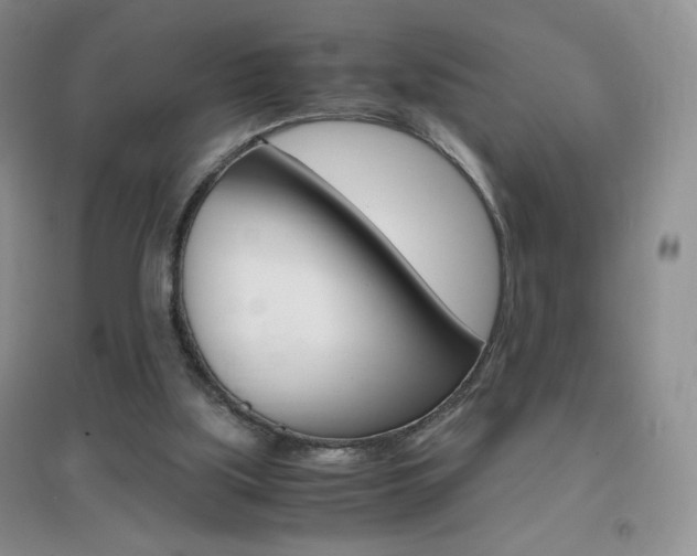 X0000096940059200802080907