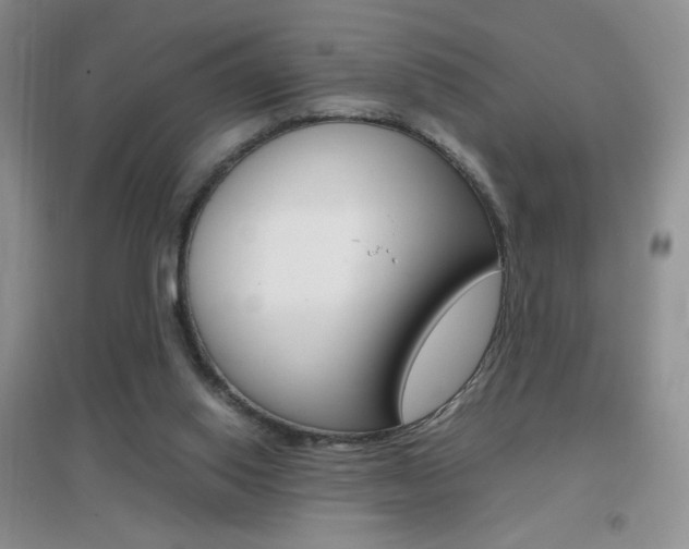 X0000096940062200802080908