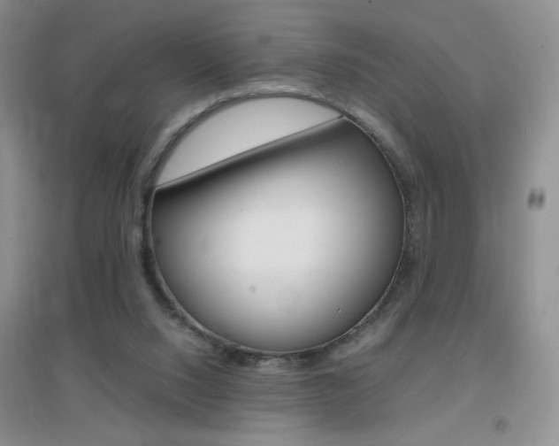 X0000096940064200802080908